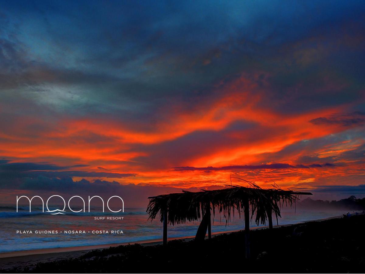 Moana Surf Resort Носара Екстериор снимка